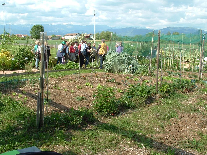 L'interesse per le piante alimentari